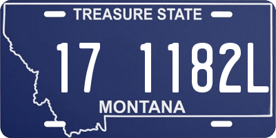 MT license plate 171182L