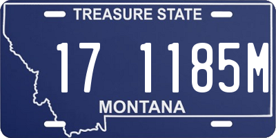 MT license plate 171185M