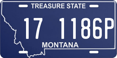 MT license plate 171186P