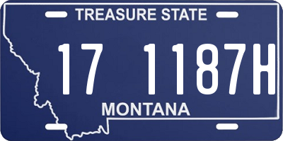 MT license plate 171187H
