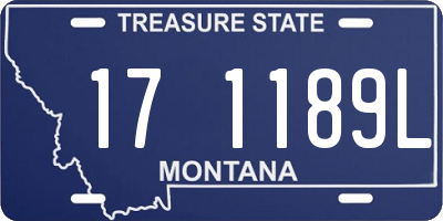 MT license plate 171189L