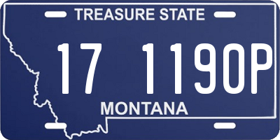 MT license plate 171190P
