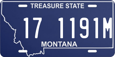 MT license plate 171191M