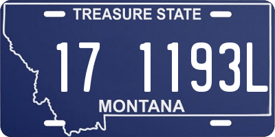 MT license plate 171193L