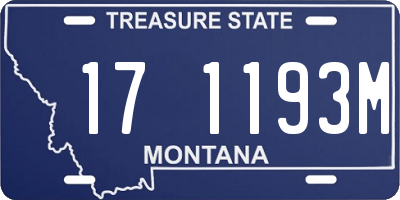 MT license plate 171193M