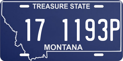 MT license plate 171193P