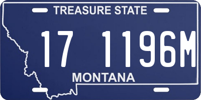 MT license plate 171196M
