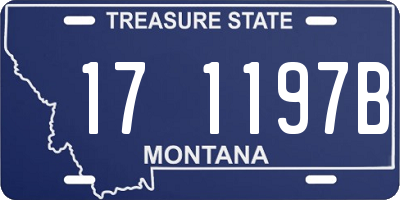 MT license plate 171197B