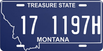 MT license plate 171197H