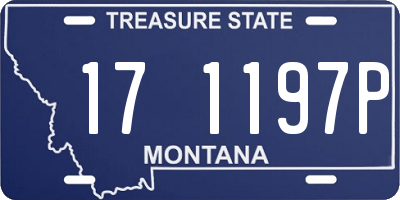 MT license plate 171197P