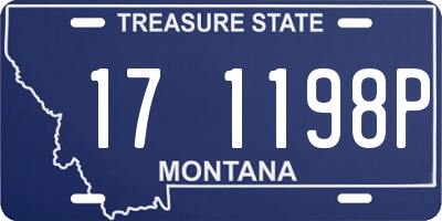 MT license plate 171198P