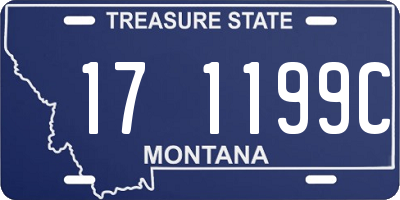 MT license plate 171199C