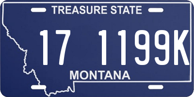MT license plate 171199K
