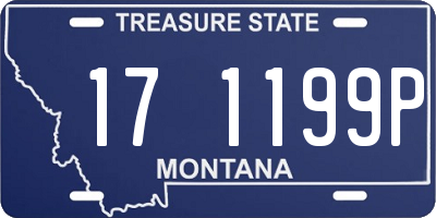 MT license plate 171199P