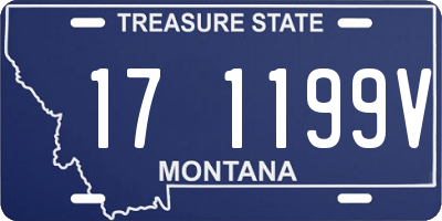 MT license plate 171199V