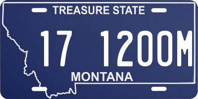 MT license plate 171200M