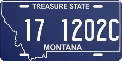 MT license plate 171202C