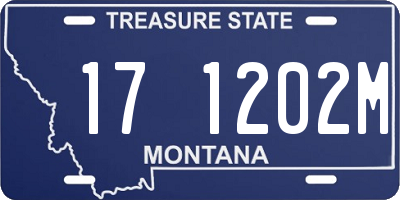MT license plate 171202M