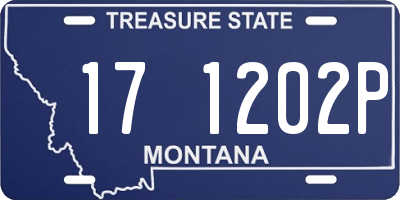 MT license plate 171202P