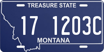 MT license plate 171203C