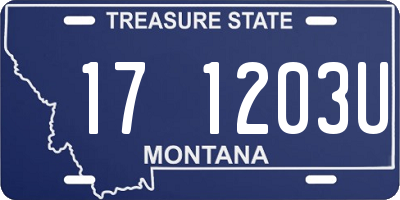 MT license plate 171203U