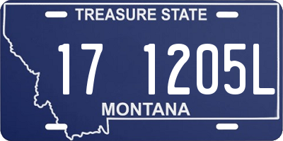 MT license plate 171205L