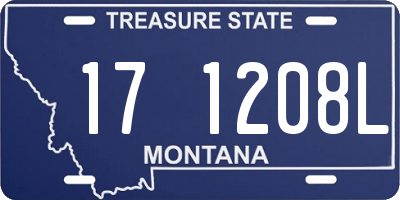 MT license plate 171208L