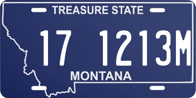 MT license plate 171213M