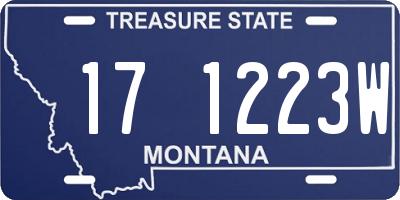 MT license plate 171223W