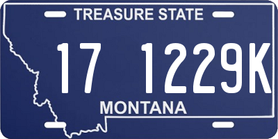 MT license plate 171229K