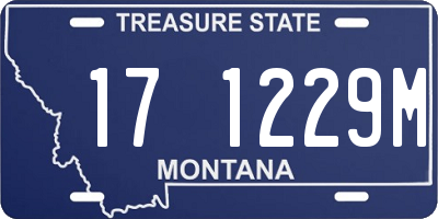 MT license plate 171229M