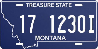 MT license plate 171230I