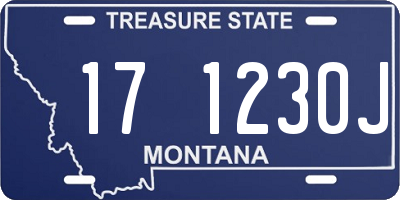 MT license plate 171230J