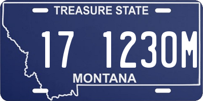 MT license plate 171230M