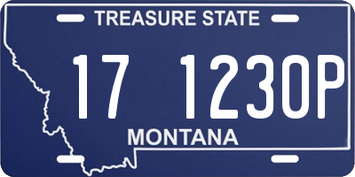MT license plate 171230P