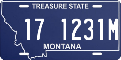 MT license plate 171231M