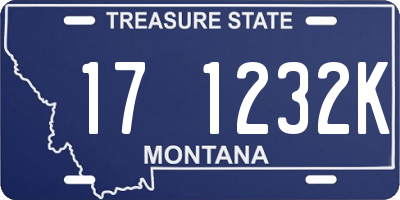 MT license plate 171232K