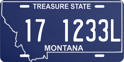 MT license plate 171233L
