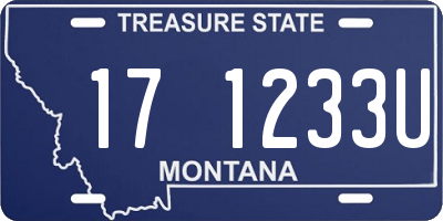 MT license plate 171233U