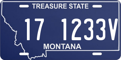 MT license plate 171233V