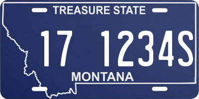 MT license plate 171234S