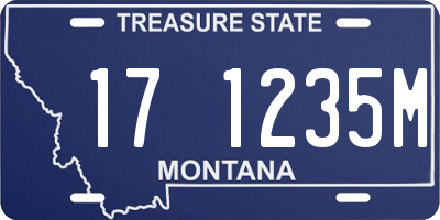 MT license plate 171235M