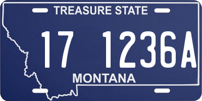 MT license plate 171236A