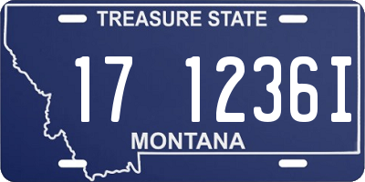 MT license plate 171236I