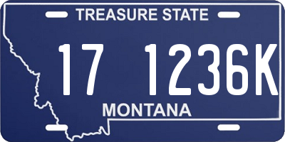 MT license plate 171236K