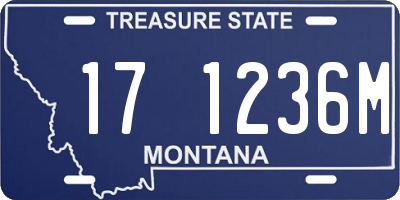 MT license plate 171236M