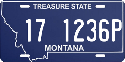 MT license plate 171236P