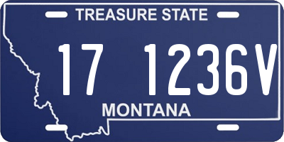 MT license plate 171236V