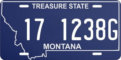 MT license plate 171238G