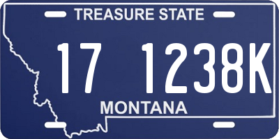 MT license plate 171238K